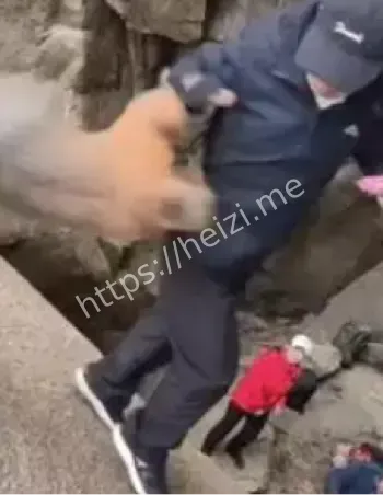 驴友投喂野猴事件警示